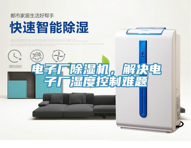 電子廠黄瓜视频在线播放，解決電子廠濕度控製難題