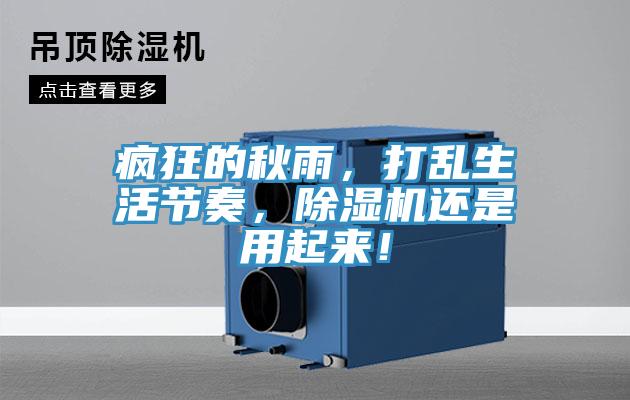 瘋狂的秋雨，打亂生活節奏，黄瓜视频在线播放還是用起來！