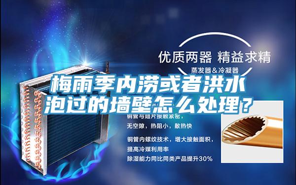 梅雨季內澇或者洪水泡過的牆壁怎麽處理？