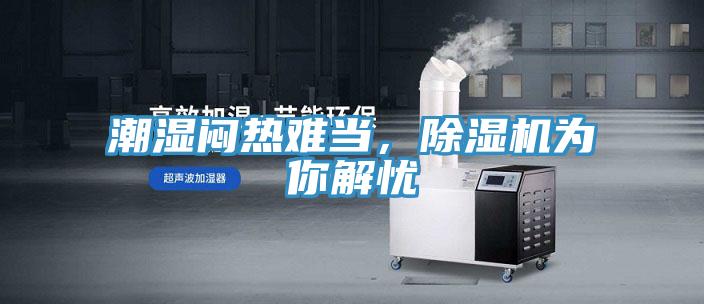 潮濕悶熱難當，黄瓜视频在线播放為你解憂
