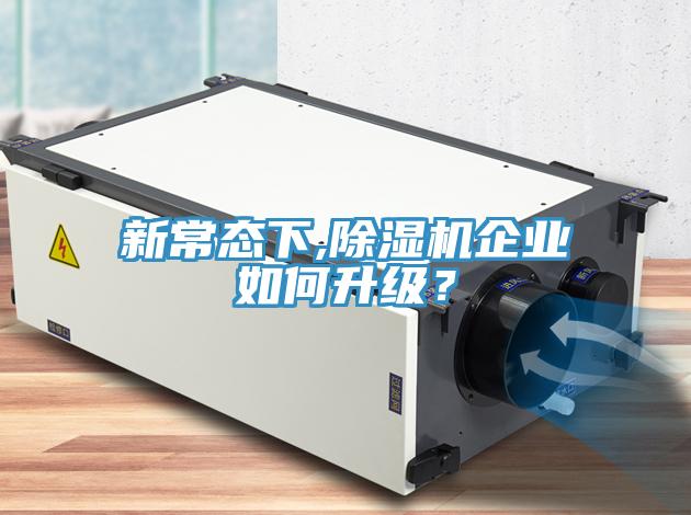 新常態下,黄瓜视频在线播放企業如何升級？