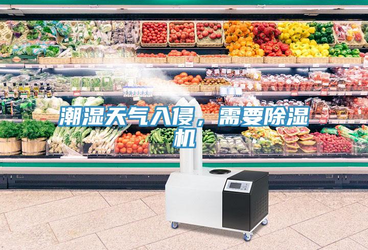 潮濕天氣入侵，需要黄瓜视频在线播放