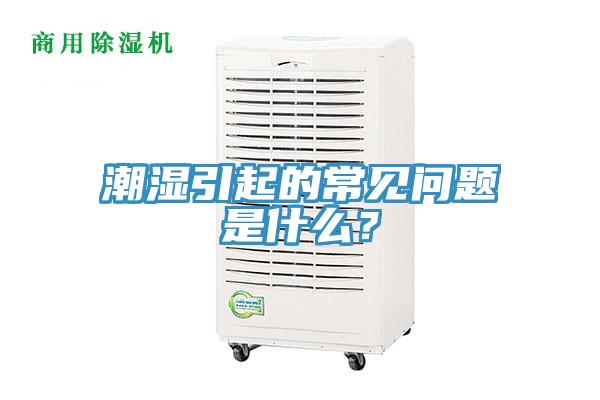 潮濕引起的常見問題是什麽？