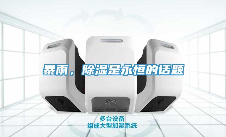 暴雨，除濕是永恒的話題