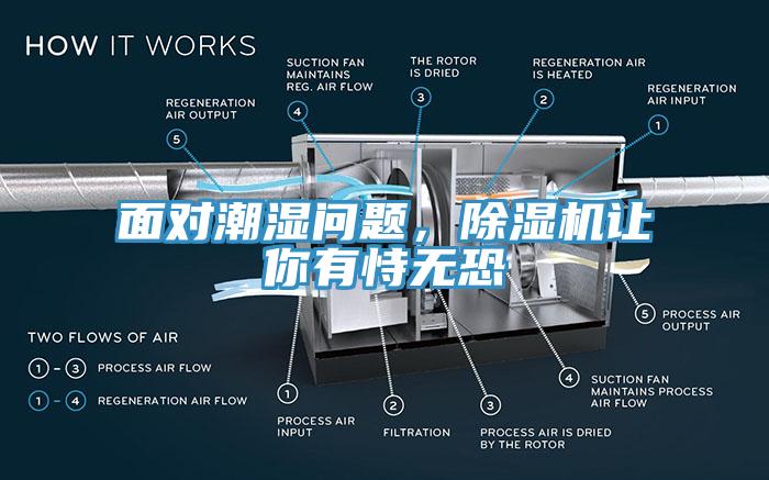 麵對潮濕問題，黄瓜视频在线播放讓你有恃無恐