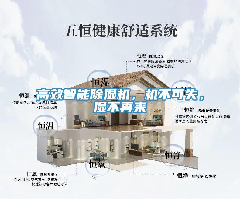 高效智能黄瓜视频在线播放，機不可失，濕不再來