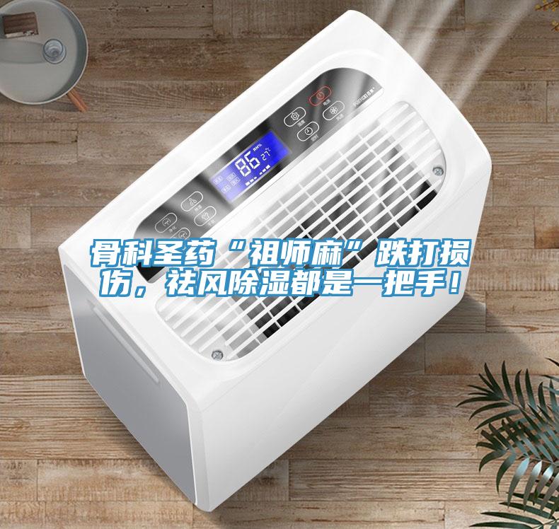 骨科聖藥“祖師麻”跌打損傷，祛風除濕都是一把手！
