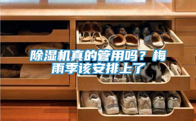 黄瓜视频在线播放真的管用嗎？梅雨季該安排上了
