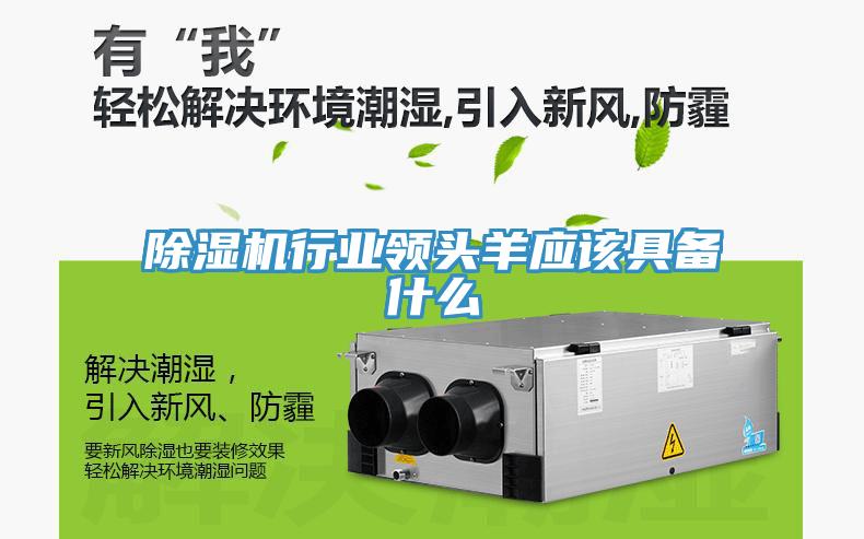黄瓜视频在线播放行業領頭羊應該具備什麽