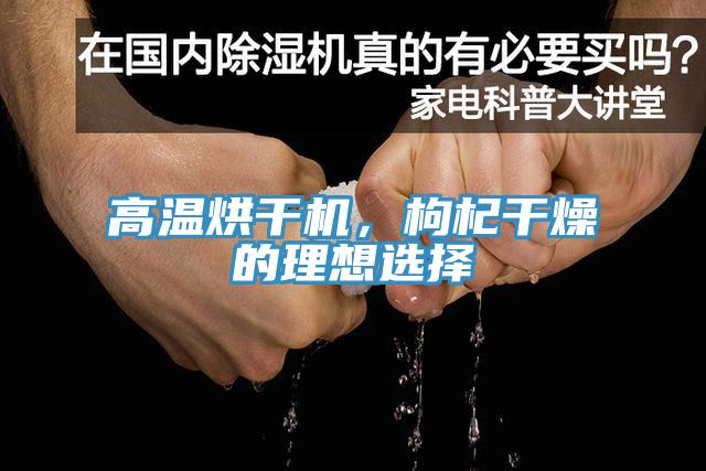 高溫烘幹機，枸杞幹燥的理想選擇