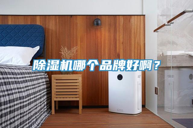 黄瓜视频在线播放哪個品牌好啊？