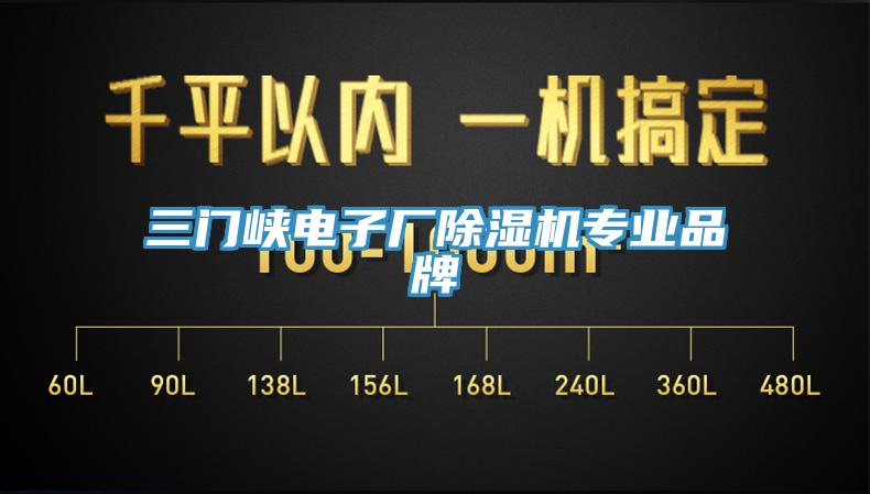 三門峽電子廠黄瓜视频在线播放專業品牌