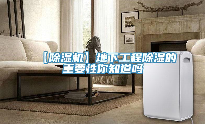 【黄瓜视频在线播放】地下工程除濕的重要性你知道嗎