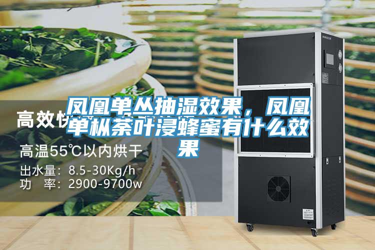 鳳凰單叢抽濕效果，鳳凰單樅荼葉浸蜂蜜有什麽效果