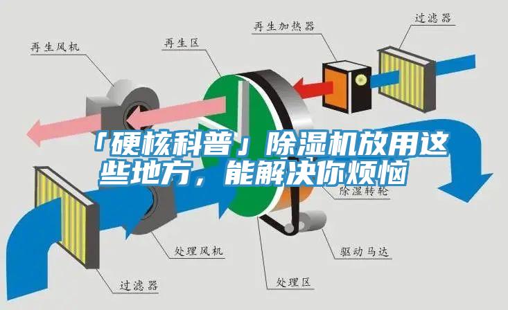 「硬核科普」黄瓜视频在线播放放用這些地方，能解決你煩惱