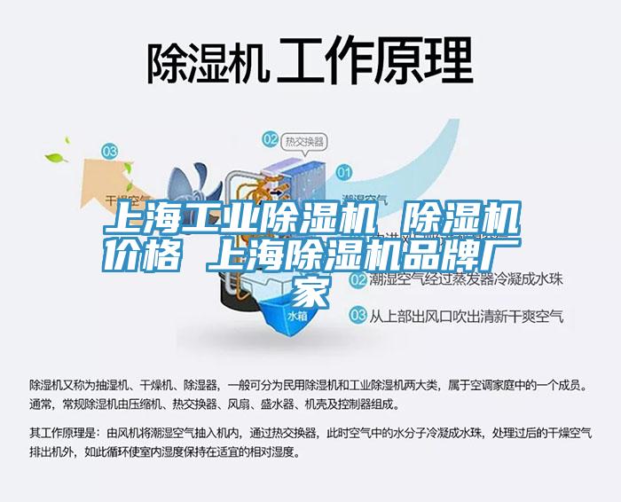 上海工業黄瓜视频在线播放 黄瓜视频在线播放價格 上海黄瓜视频在线播放品牌廠家
