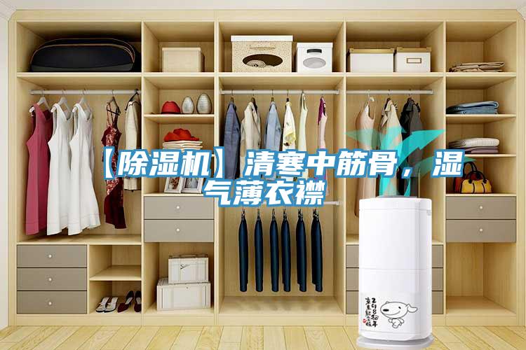 【黄瓜视频在线播放】清寒中筋骨，濕氣薄衣襟