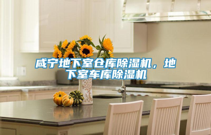 鹹寧地下室倉庫黄瓜视频在线播放，地下室車庫黄瓜视频在线播放