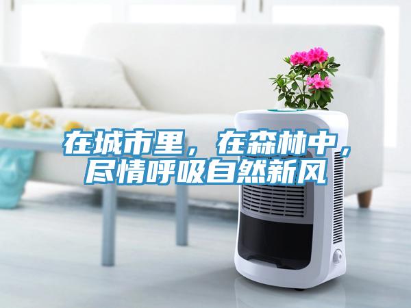 在城市裏，在森林中，盡情呼吸自然新風