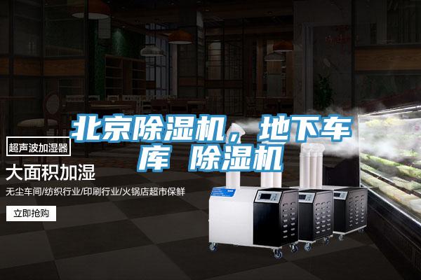 北京黄瓜视频在线播放，地下車庫 黄瓜视频在线播放