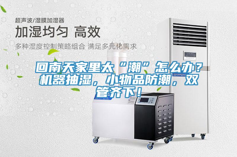 回南天家裏太“潮”怎麽辦？機器抽濕，小物品防潮，雙管齊下！
