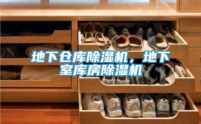 地下倉庫黄瓜视频在线播放，地下室庫房黄瓜视频在线播放