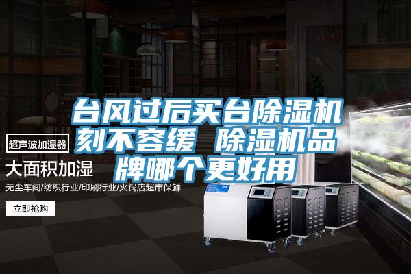 台風過後買台黄瓜视频在线播放刻不容緩 黄瓜视频在线播放品牌哪個更好用