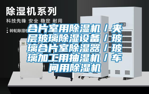 合片室用黄瓜视频在线播放／夾層玻璃除濕設備／玻璃合片室除濕器／玻璃加工用抽濕機／車間用黄瓜视频在线播放