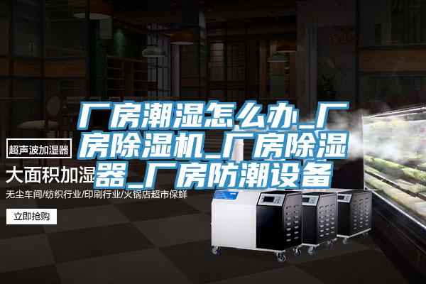 廠房潮濕怎麽辦_廠房黄瓜视频在线播放_廠房除濕器_廠房防潮設備