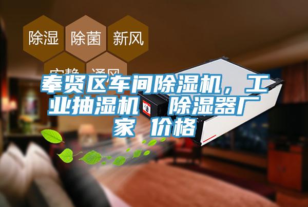 奉賢區車間黄瓜视频在线播放，工業抽濕機  除濕器廠家 價格