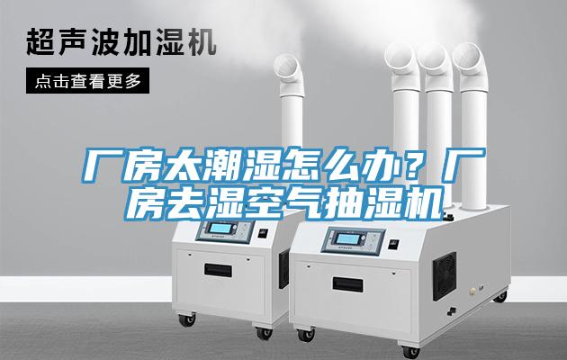 廠房太潮濕怎麽辦？廠房去濕空氣抽濕機