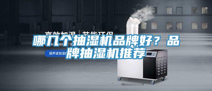 哪幾個抽濕機品牌好？品牌抽濕機推薦