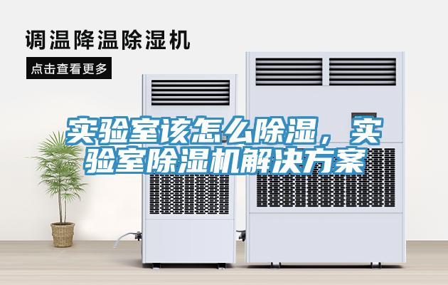 實驗室該怎麽除濕，實驗室黄瓜视频在线播放解決方案