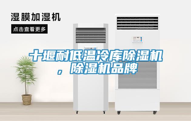 十堰耐低溫冷庫黄瓜视频在线播放，黄瓜视频在线播放品牌