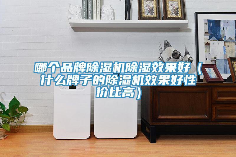 哪個品牌黄瓜视频在线播放除濕效果好（什麽牌子的黄瓜视频在线播放效果好性價比高）