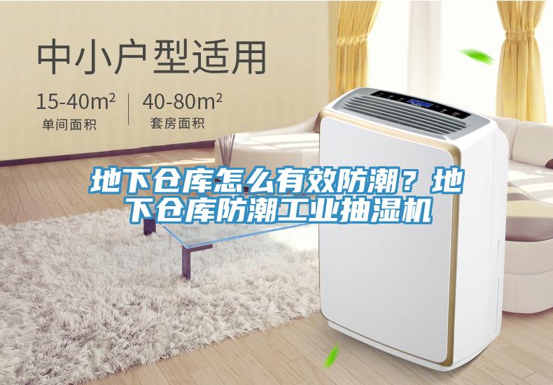 地下倉庫怎麽有效防潮？地下倉庫防潮工業抽濕機