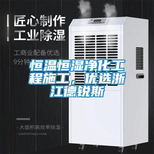 恒溫恒濕淨化工程施工，優選浙江德銳斯