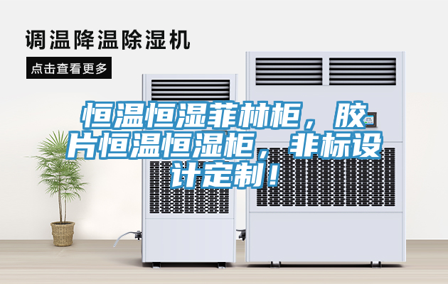 恒溫恒濕菲林櫃，膠片恒溫恒濕櫃，非標設計定製！