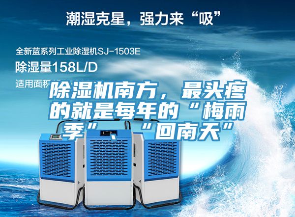 黄瓜视频在线播放南方，最頭疼的就是每年的“梅雨季”、“回南天”