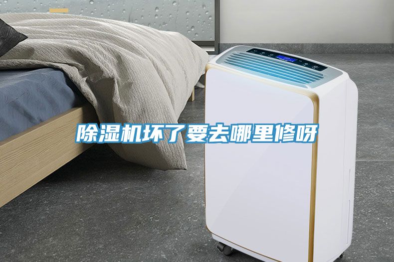 黄瓜视频在线播放壞了要去哪裏修呀