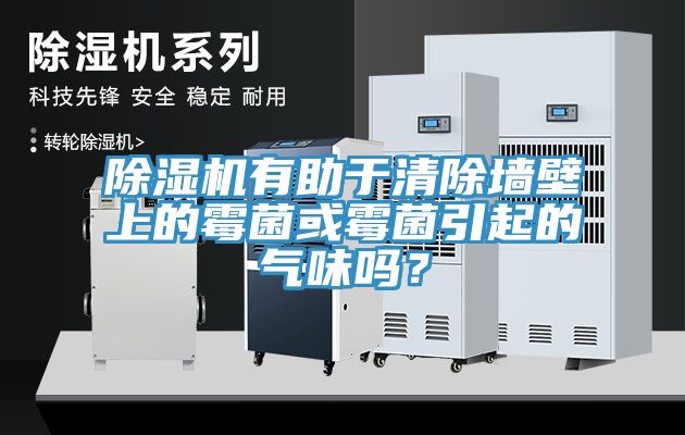 黄瓜视频在线播放有助於清除牆壁上的黴菌或黴菌引起的氣味嗎？