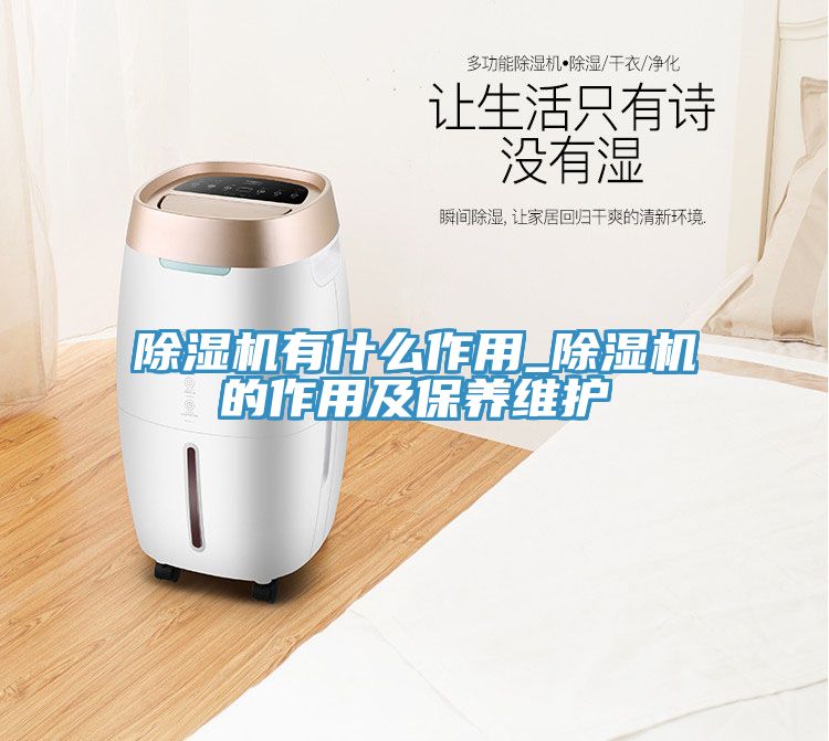 黄瓜视频在线播放有什麽作用_黄瓜视频在线播放的作用及保養維護