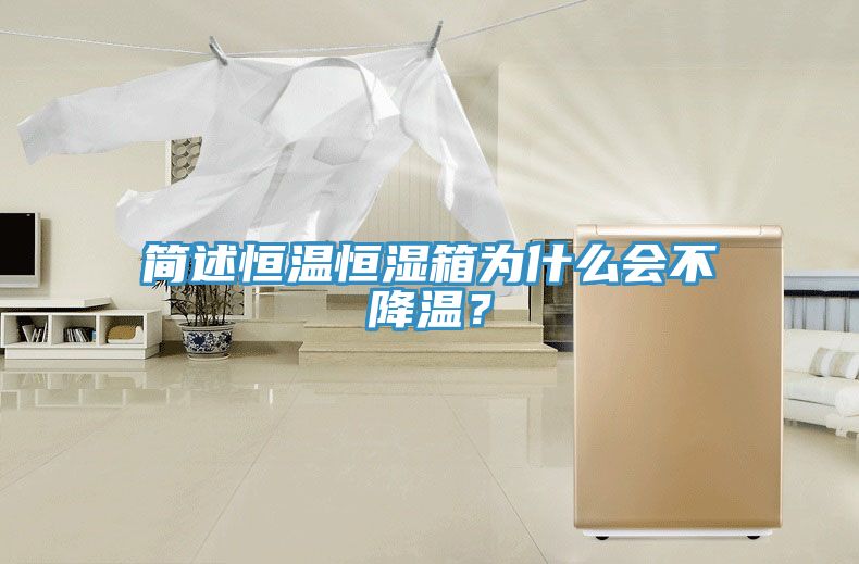簡述恒溫恒濕箱為什麽會不降溫？