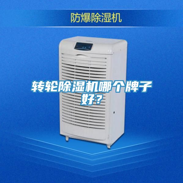 轉輪黄瓜视频在线播放哪個牌子好？
