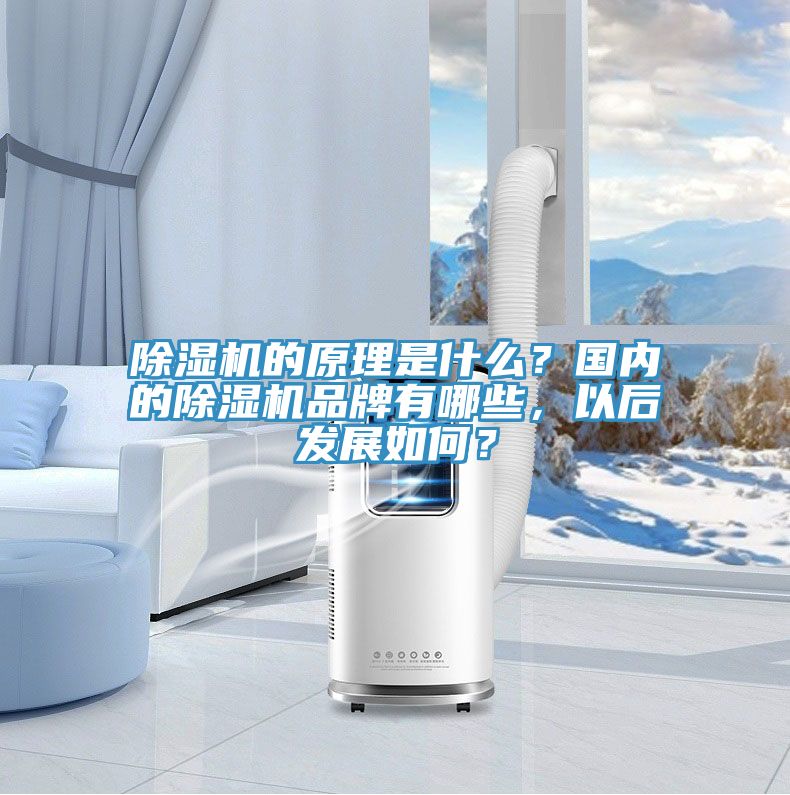 黄瓜视频在线播放的原理是什麽？國內的黄瓜视频在线播放品牌有哪些，以後發展如何？
