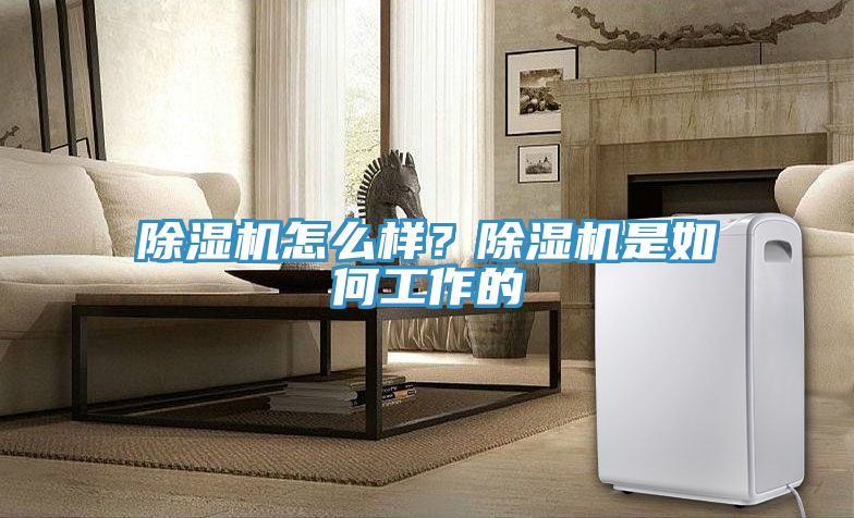 黄瓜视频在线播放怎麽樣？黄瓜视频在线播放是如何工作的
