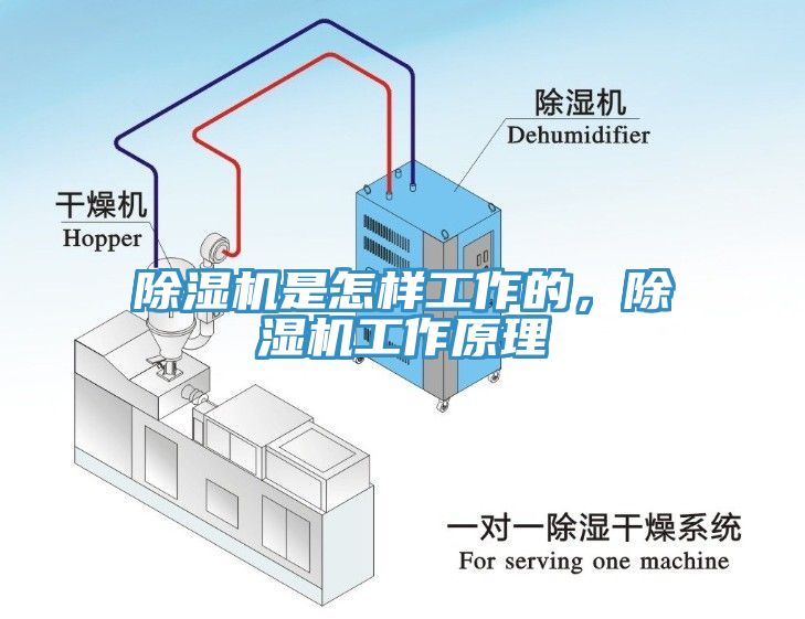 黄瓜视频在线播放是怎樣工作的，黄瓜视频在线播放工作原理