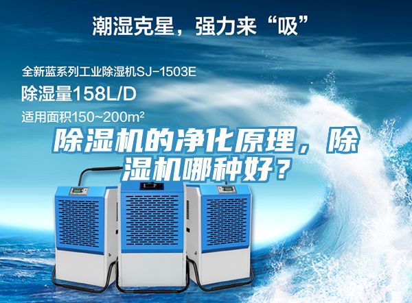 黄瓜视频在线播放的淨化原理，黄瓜视频在线播放哪種好？