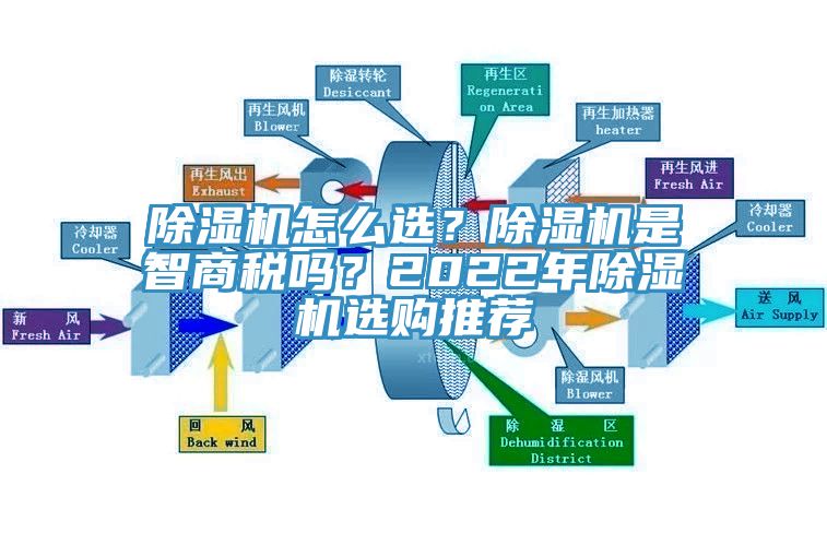 黄瓜视频在线播放怎麽選？黄瓜视频在线播放是智商稅嗎？2022年黄瓜视频在线播放選購推薦