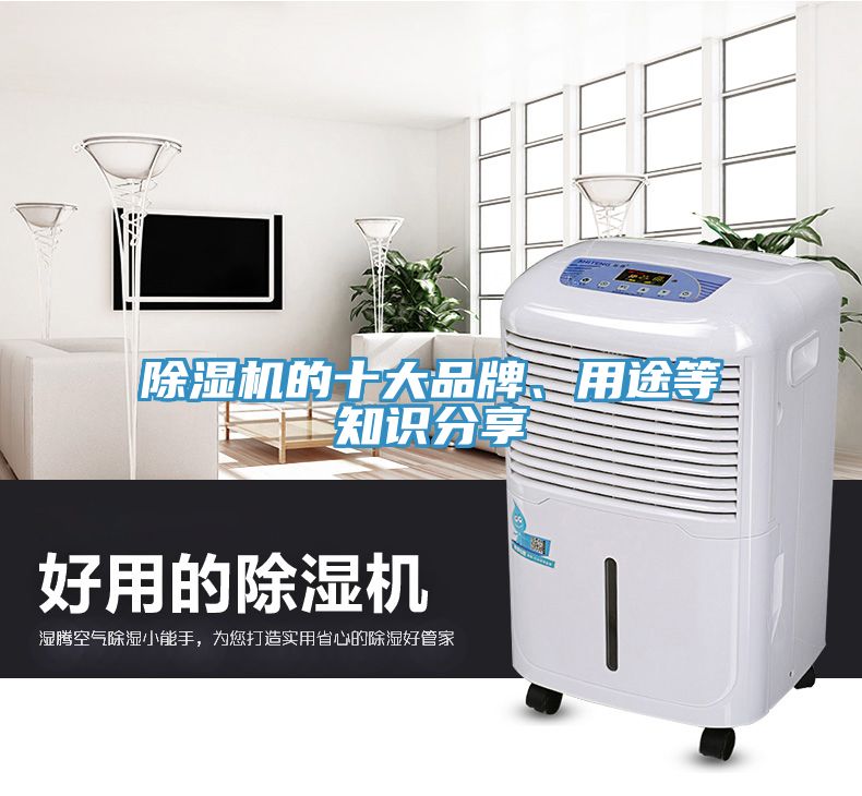 黄瓜视频在线播放的十大品牌、用途等知識分享